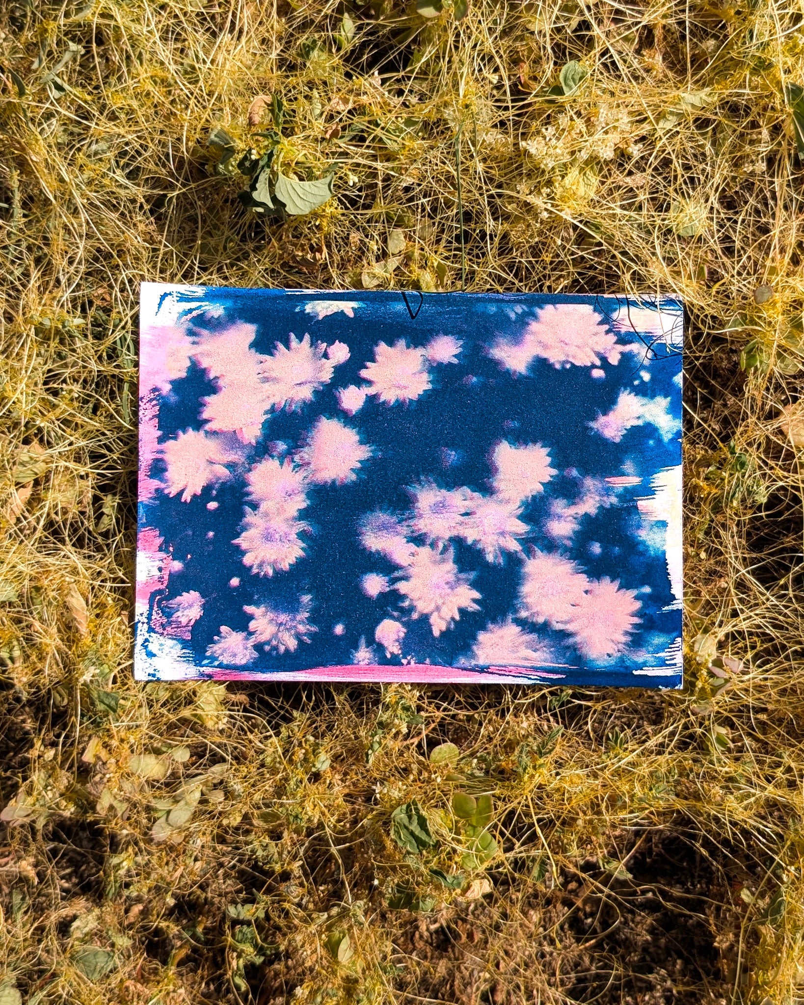 Summer Daisies - art print by DRC_ART