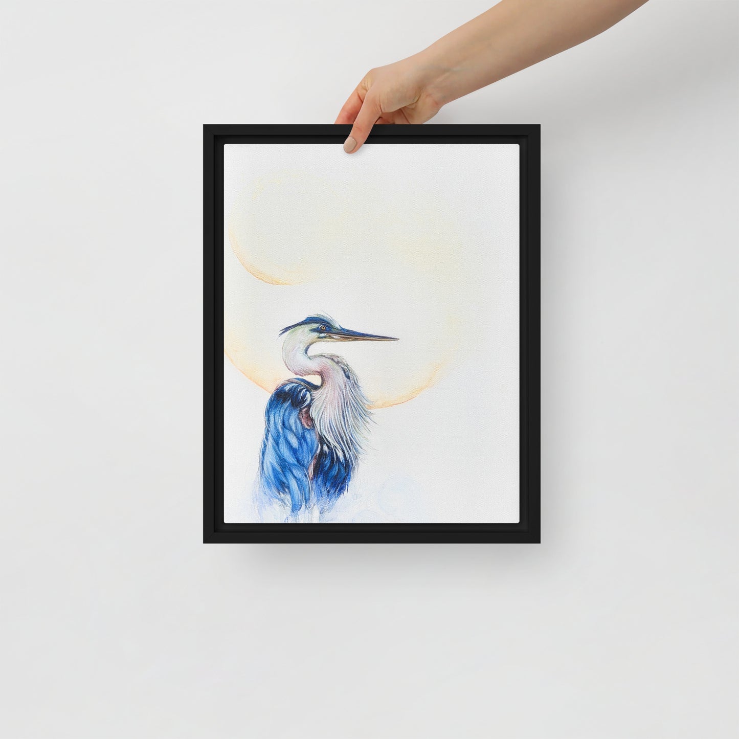 Framed canvas - Blue Heron