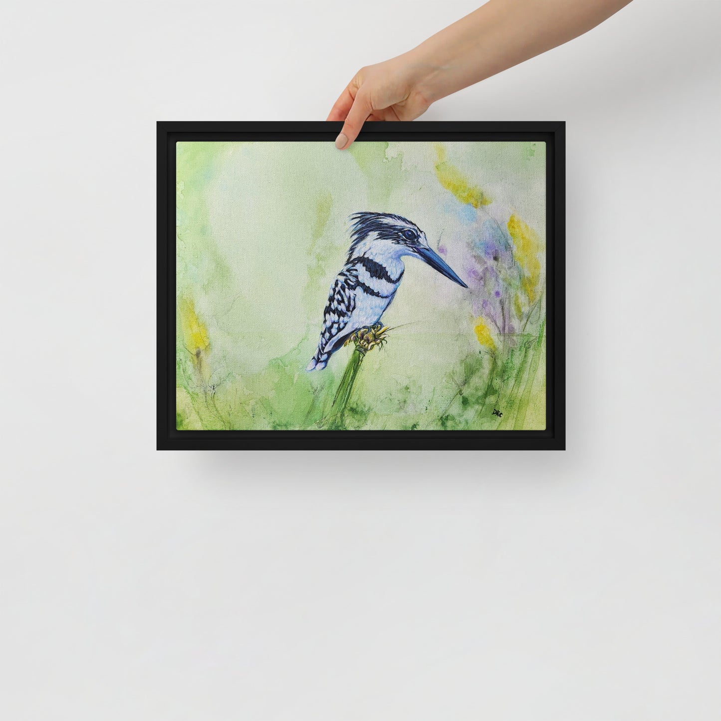 Framed canvas - Kingfisher