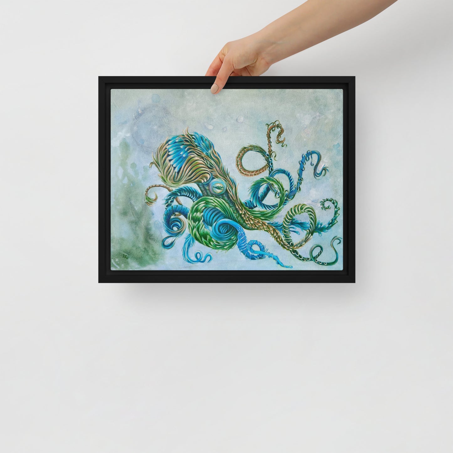 Framed canvas - Nature Octopus