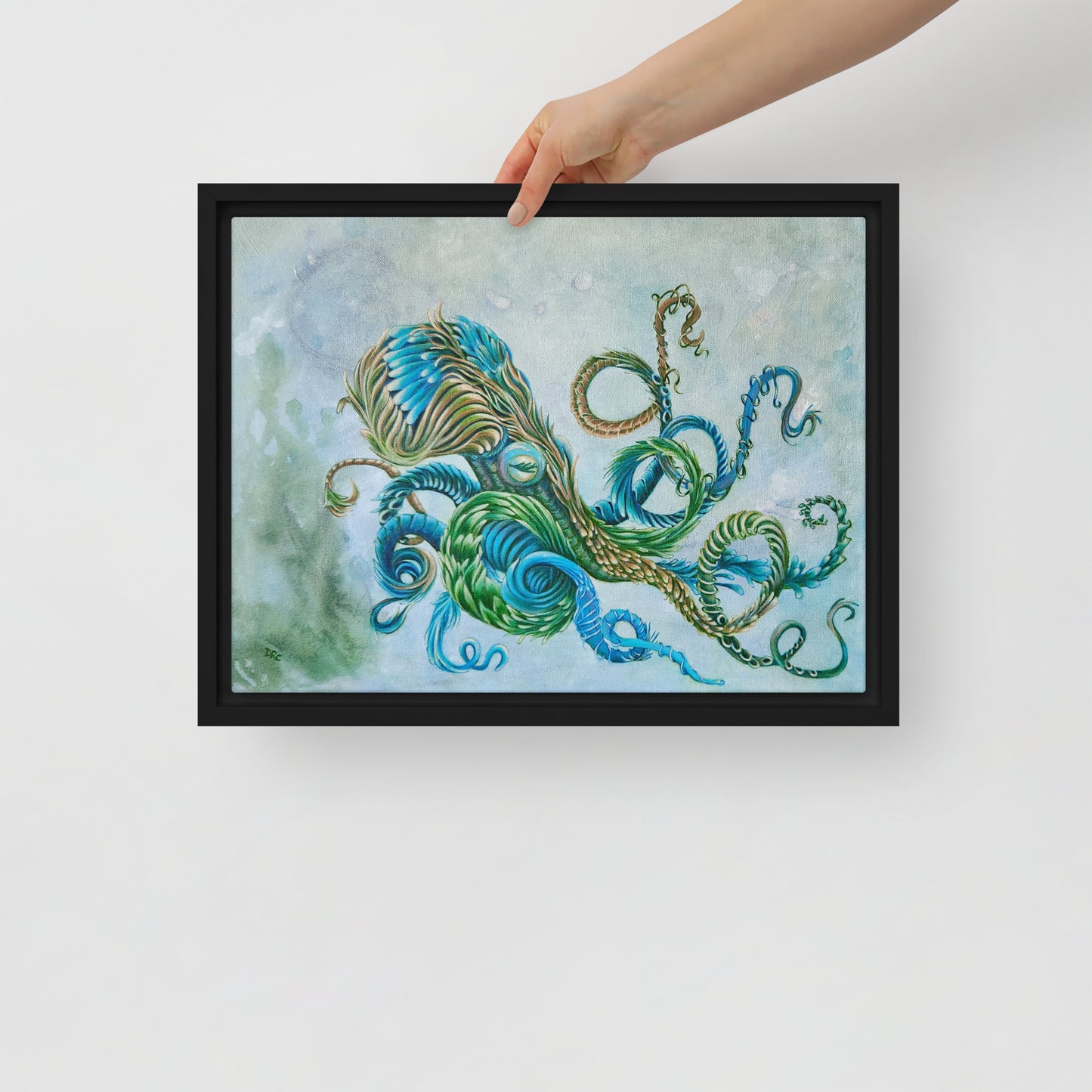 Framed canvas - Nature Octopus