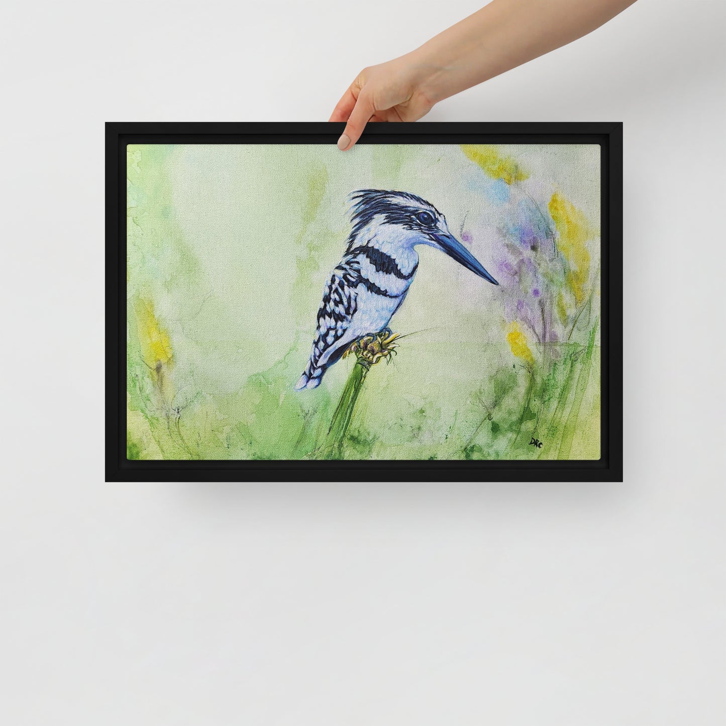 Framed canvas - Kingfisher