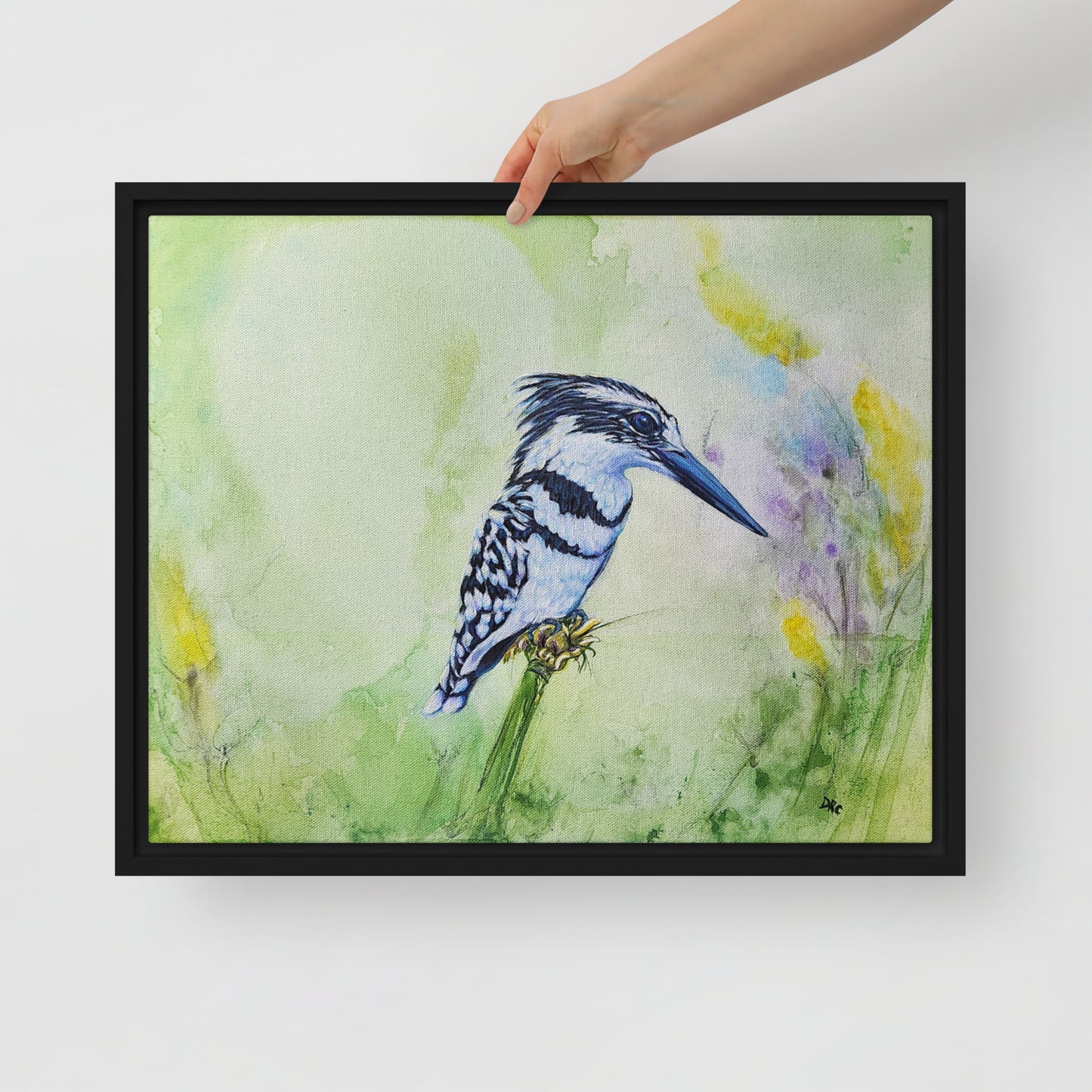 Framed canvas - Kingfisher