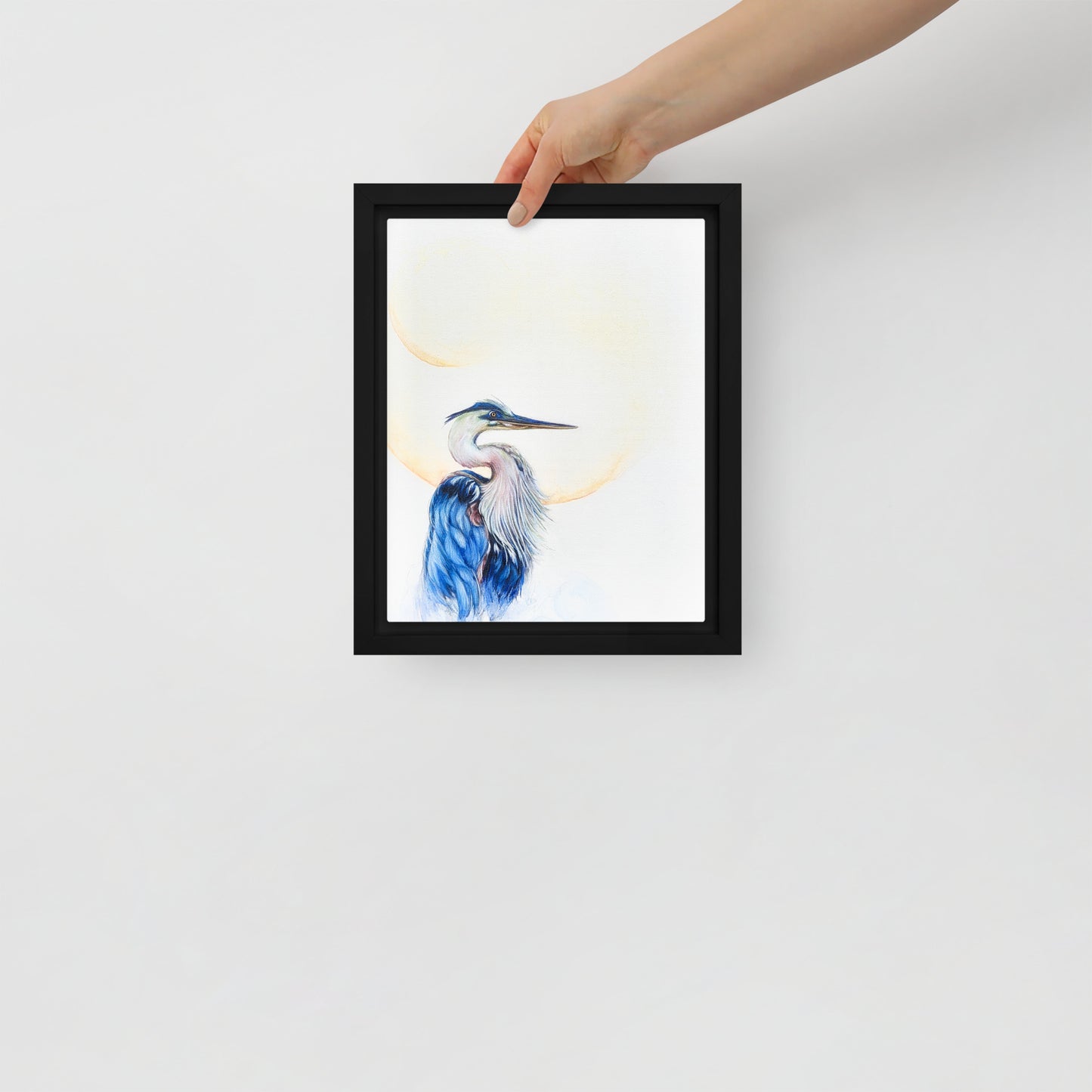 Framed canvas - Blue Heron