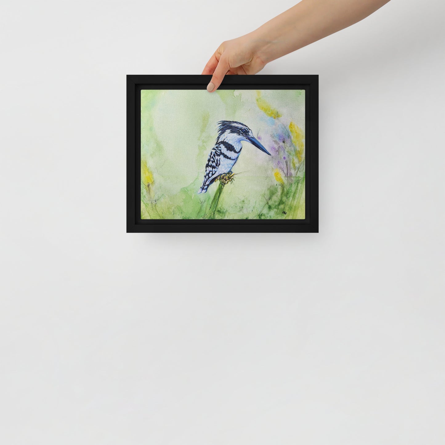 Framed canvas - Kingfisher