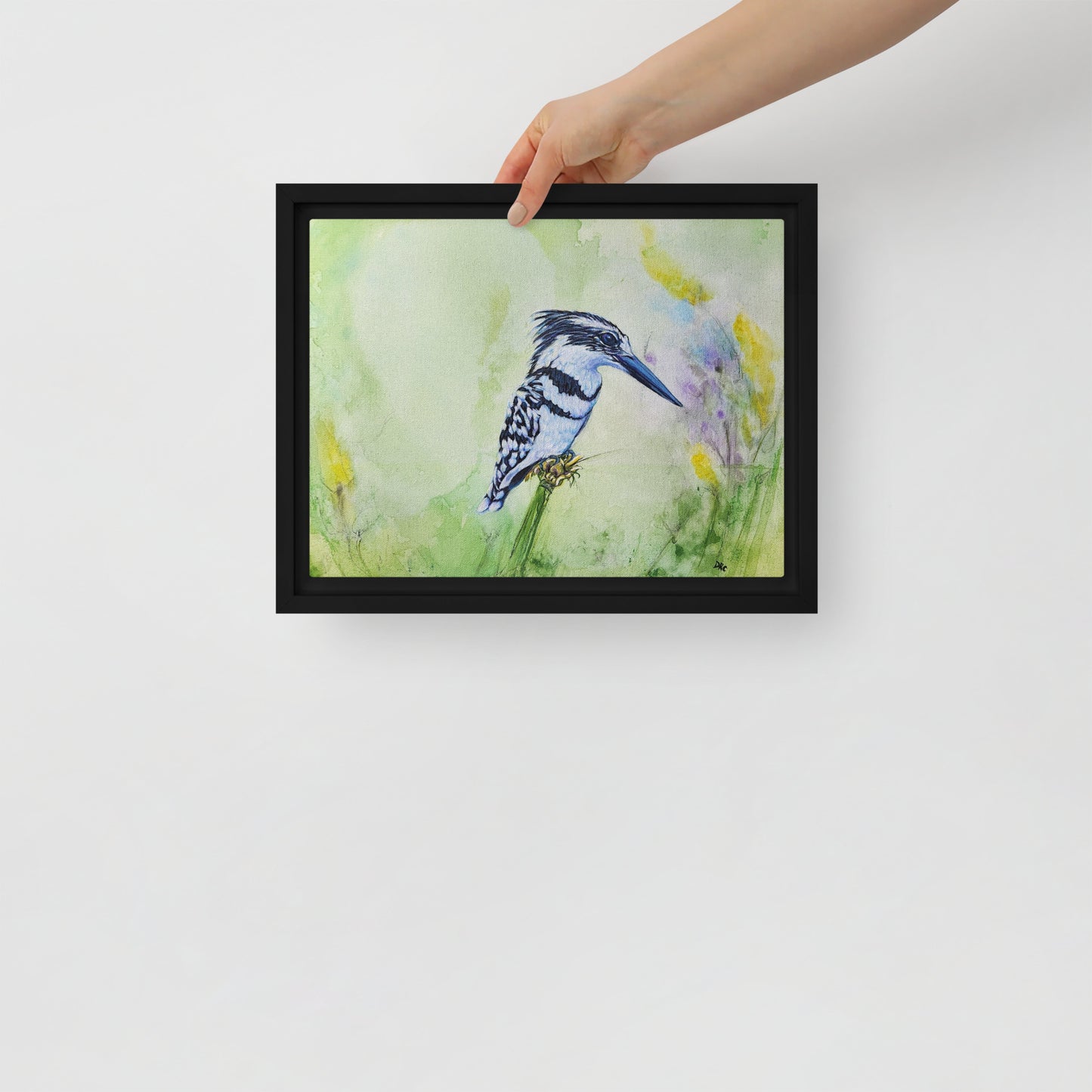 Framed canvas - Kingfisher