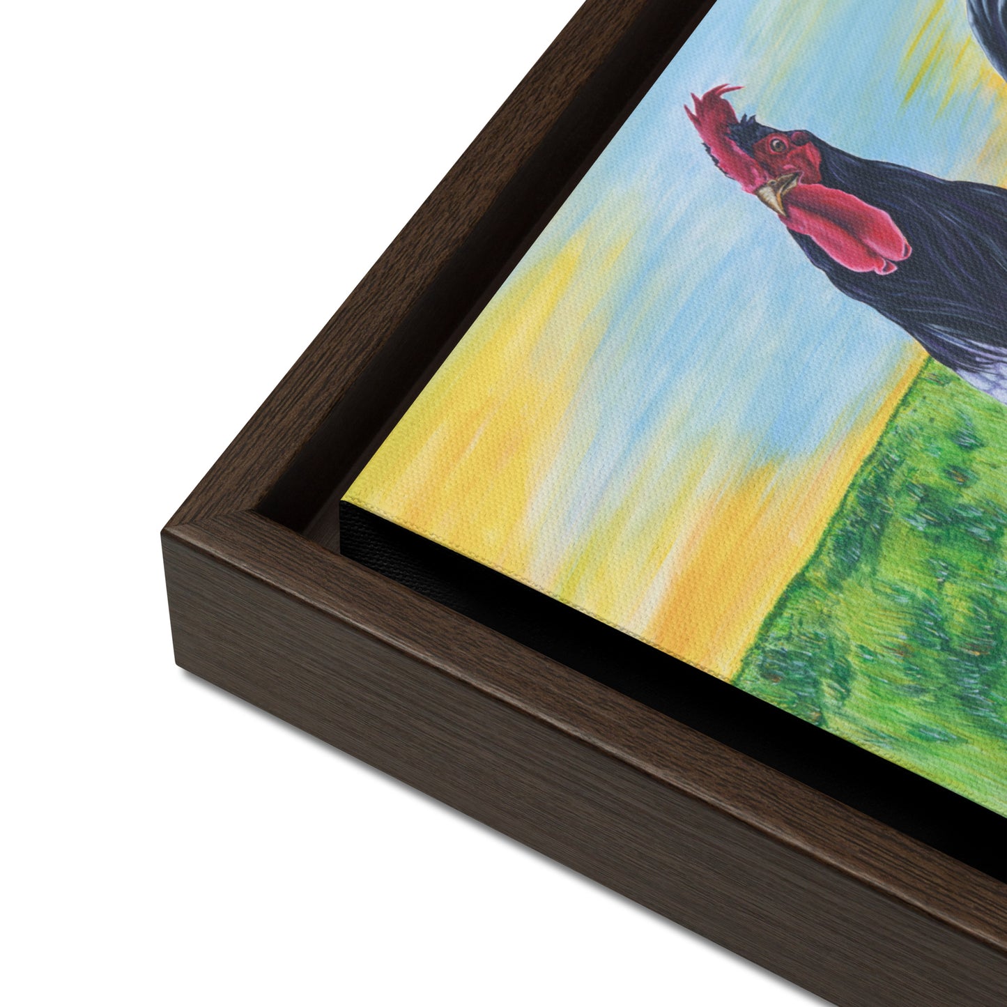 Framed canvas - Walk the Rooster