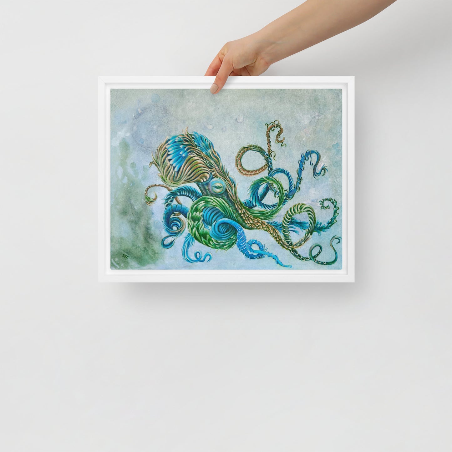 Framed canvas - Nature Octopus