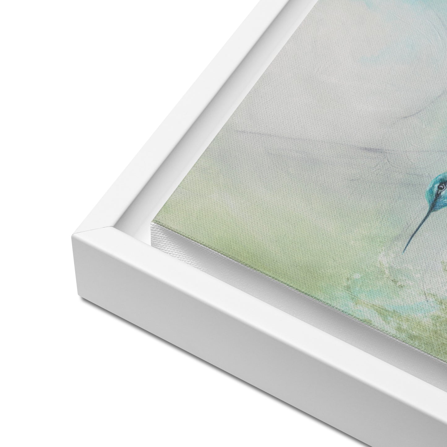 Framed canvas - Hummingbird