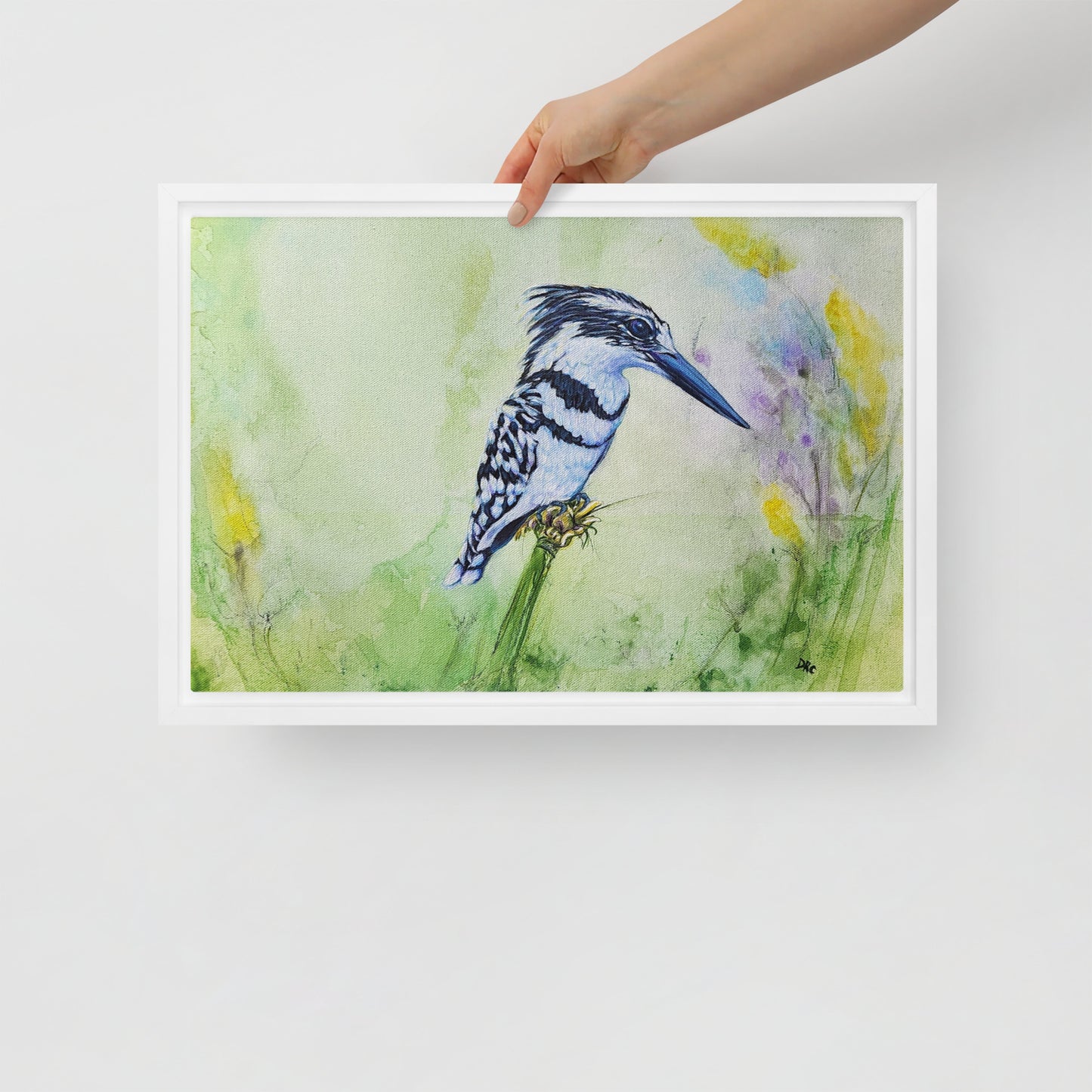 Framed canvas - Kingfisher