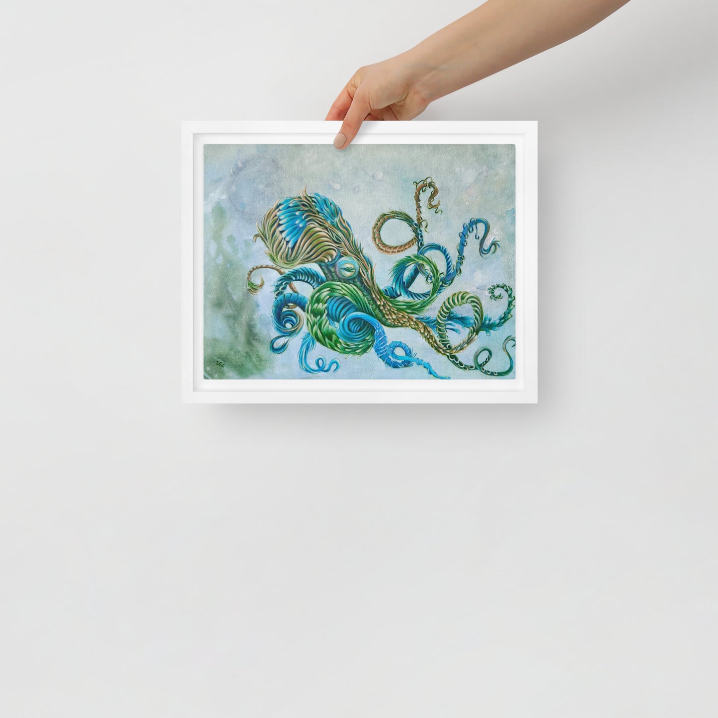 Framed canvas - Nature Octopus