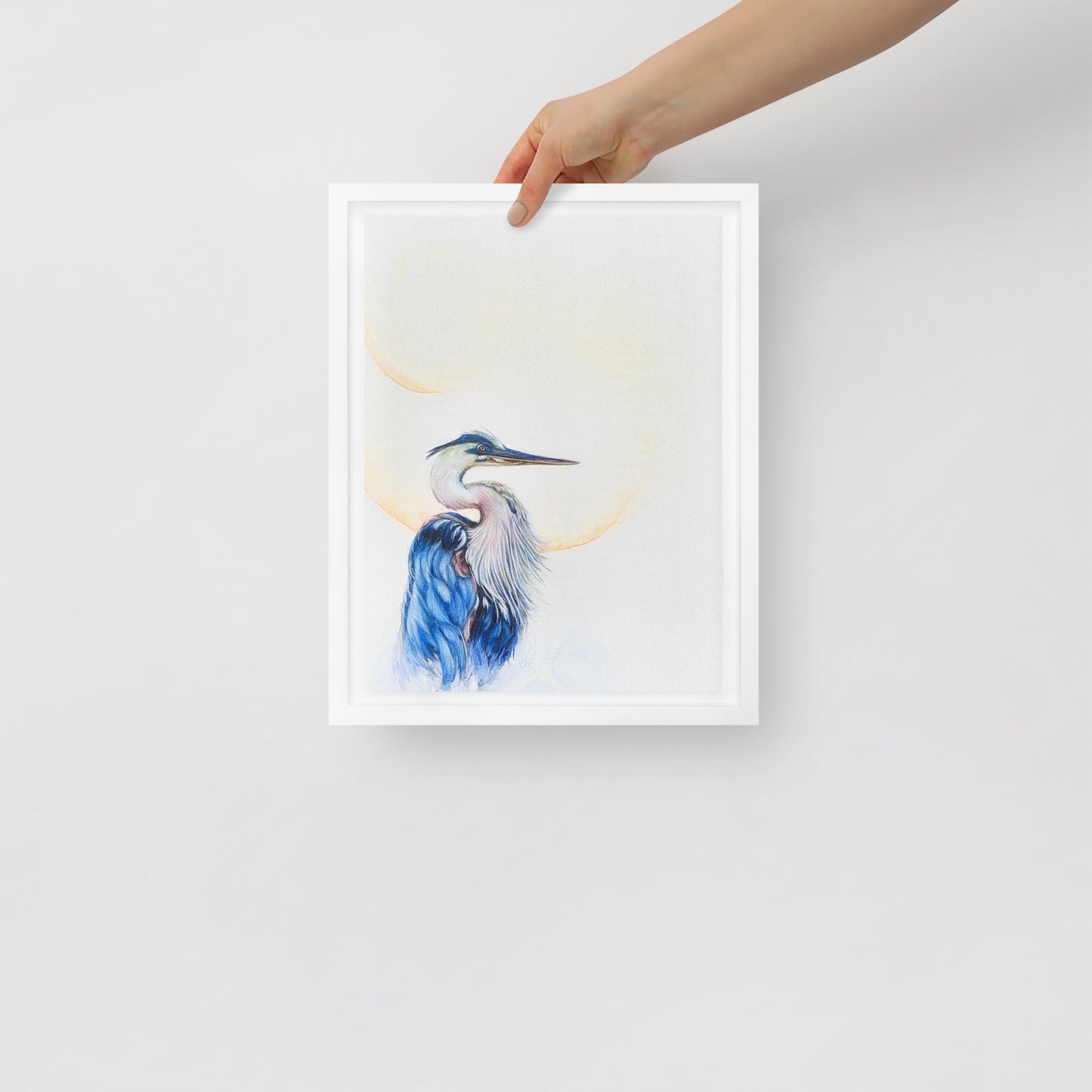 Framed canvas - Blue Heron